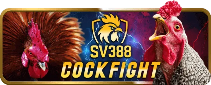 Chương trình hoàn trả cược hàng ngày